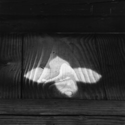 GOYO III, Wonhyo-sa Temple in Jeollabuk-do Province, 2015