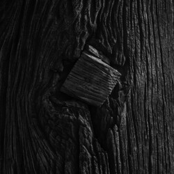 GOYO III, Baegyangsa Temple in Jeollanam-do Province, 2008