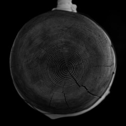 GOYO III, Bongeunsa Temple in Seoul, 2009