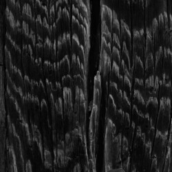 GOYO III, Tongdosa Temple in Gyeongsangnam-do Province, 2006